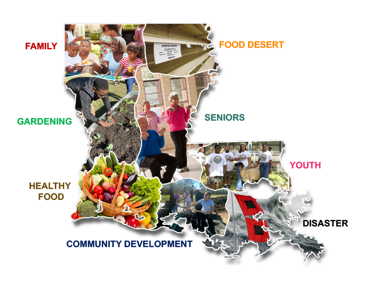 Interactive Map of Louisiana